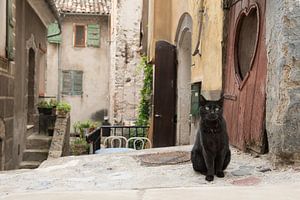 Schwarze Katze in den Straßen eines schönen alten Dorfes in der Provance