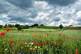 Apostelhoeve, Jekerdal Maastricht von peter reinders