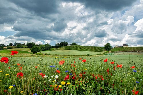 Apostelhoeve, Jekerdal Maastricht
