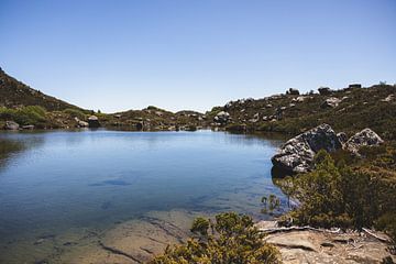 Mount Field : joyau de la nature sauvage de Tasmanie sur Ken Tempelers