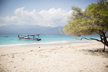 Strand en zee met een boot en een boom van Esther esbes - kleurrijke reisfotografie