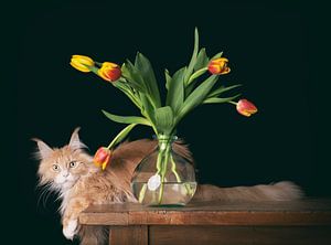 Wodan en zijn tulpen van mirka koot