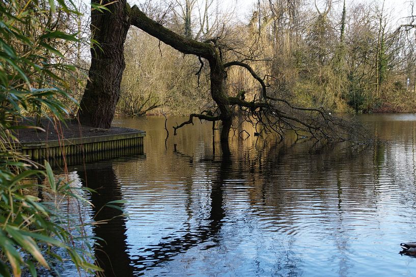 parc par wil spijker