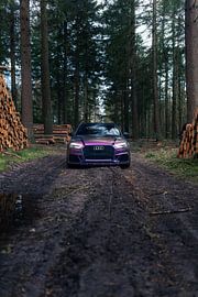 Audi RS3 Parked in the Forest – Nature and Automotive Wall Art