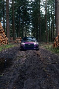 Audi RS3 in het Bos – Moderne Auto in Natuurlijke Omgeving van Sebastiaan van 't Hoog