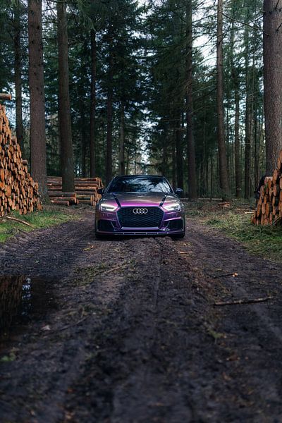 Audi RS3 im Wald Geparkt – Natur- und Automobilwandkunst von Sebastiaan van 't Hoog