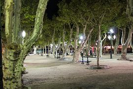 Place de Lices in Saint Tropez by whmpictures .com