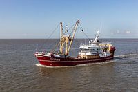 Fishing cutter on the Wadden Sea