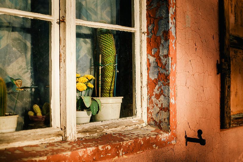 Fenster  by Sebastian Schimmel