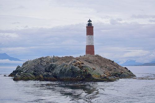 De zeeleeuwen achterlaten bij de vuurtoren van Faro les Éclaireurs