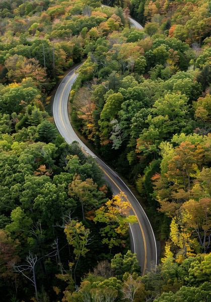 Winding road by Poster Art Shop
