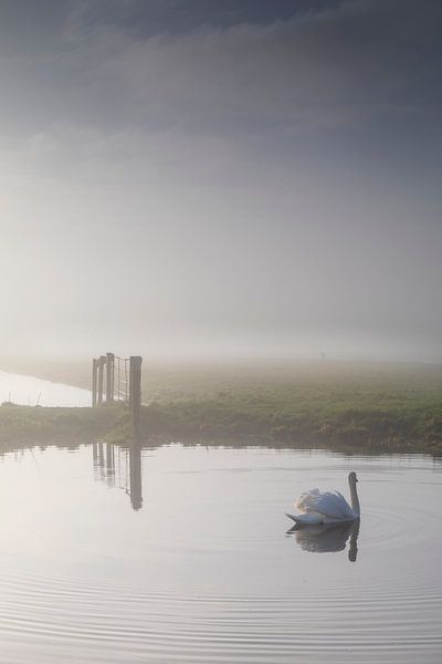 mistige ochtend op het platteland in het Groene Hart in Zuid-Hol van gaps photography