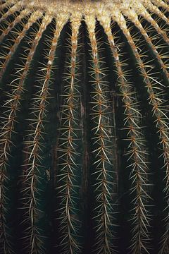 Cactus Print sur Karin Schipper