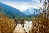 Jetée en bois avec porte dans le lac Tegernsee, montagnes enneigées en arrière-plan, paysage dans la par Maren Winter Aperçu