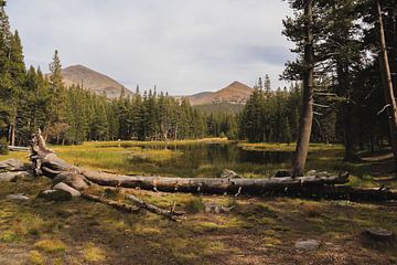 Lac pittoresque sur Lisa Schrijvers