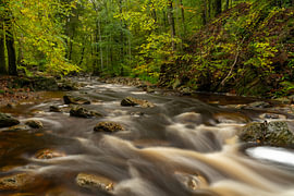 A Gentle Mountain River Flowing Through an Early Autumn Forest by Johannes Jongsma