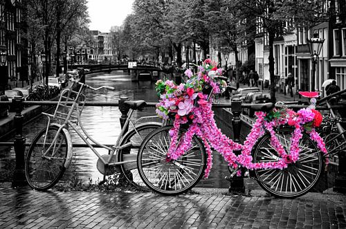Amsterdam Bloemen Fiets Zwart Wit Roze