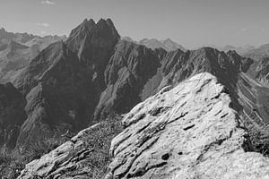Where ruggedness and beauty meet