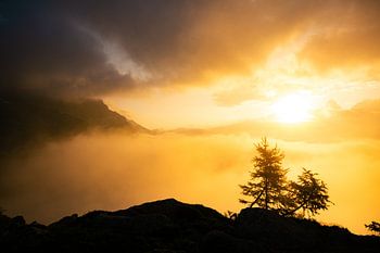 Serene Sunrise with Foreground – Chamonix
