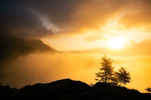Lever de soleil serein avec premier plan - Chamonix