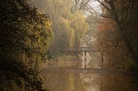 Parken im Nebel von Mariette Kranenburg Miniaturansicht