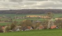 Vakwerkhuisjes en Bloesem in Zuid-Limburg van John Kreukniet thumbnail