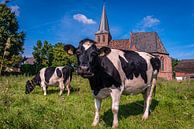 De koe en kerk van Persingen van Gijs Rijsdijk thumbnail