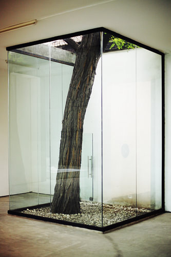 Baum im Glas, China
