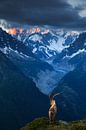 Sein Königreich – Chamonix, Frankreich von Sven Broeckx Miniaturansicht