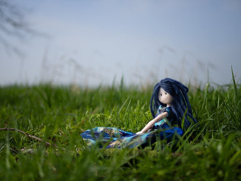 Pop met blauw haar in het gras op een mooie voorjaarsdag par Margreet van Tricht