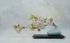 Frühling , Zen-Stillleben mit Blütenzweigen .