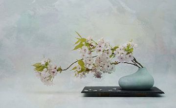 Printemps, nature morte zen avec des branches en fleurs . sur Saskia Dingemans Awarded Photographer