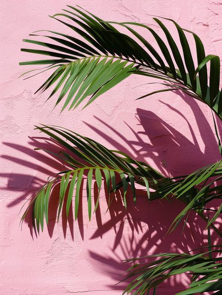 Tropical vibes by Studio Allee