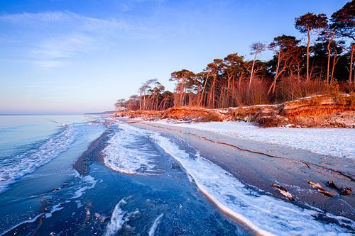 Winter aan het Weststrand op de Darss