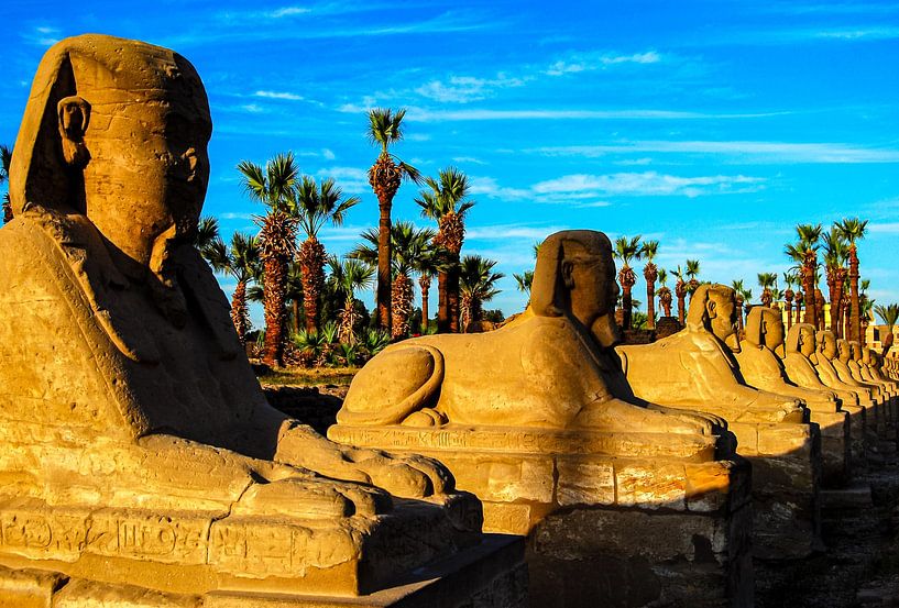 Allée du Sphinx avec palmiers à Louxor Egypte par Dieter Walther