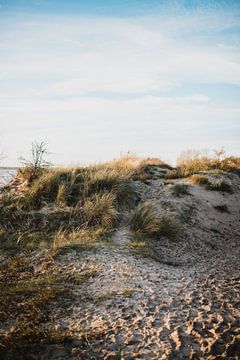 Nederlandse duinen in Rockaje van Dayenne van Peperstraten
