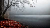 Blues de novembre