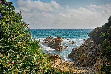 Herz von Sardinien von Claudia Moeckel