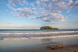 Strand bei Whangamata, Neuseeland von Christian Müringer