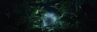 Tropische achtergrond omringd door junglebomen met spotlight van Besa Art thumbnail