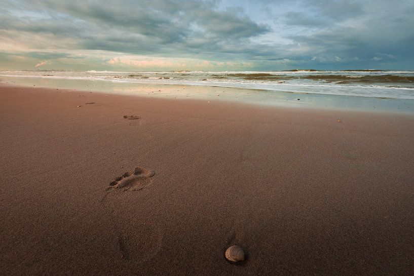 Memories in the Sand by Thomas Gladdines