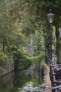 Het Zwarte Water - Lauwerecht - Utrecht
