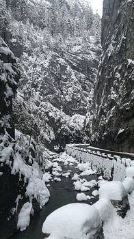 Loin dans la neige