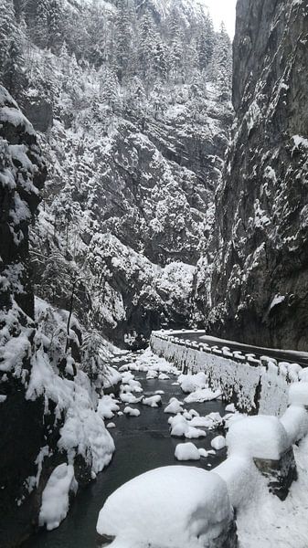 Away in the snow by Vincent de Bot