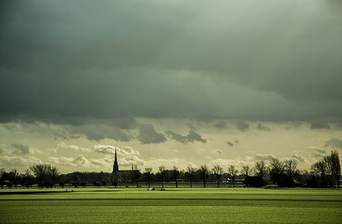 Typisch Hollands landschap 