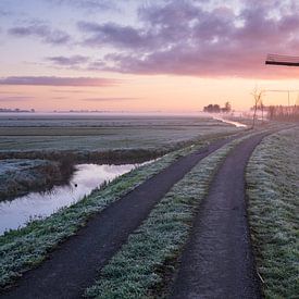 Walk with me... by Sander Poppe