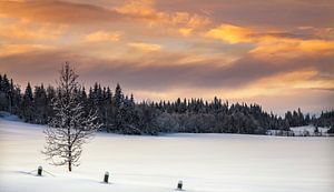 Abendrot im Winter, Norwegen
