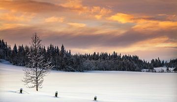 Avondrood in Winter, Noorwegen van Adelheid Smitt