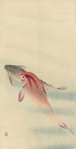 Zwei Karpfen, Ohara Koson