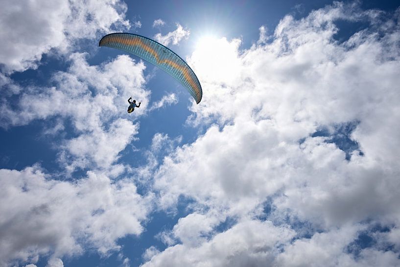 Paraglider - free as a bird van Peter Bartelings